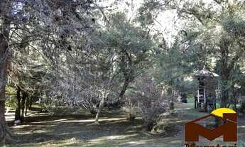 Imagem 3: Casa em meio à natureza