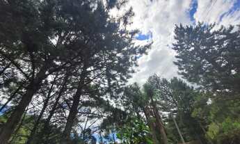 Imagem 4: Chácara com 44783 m² em São Bento do Sul - SC