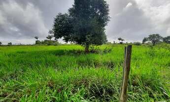 Imagem 2: FAZENDA PARA PECUÁRIA E LAVOURA