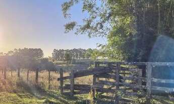 Imagem 2: Sítio 4 hectares com açude em Águas claras, oportunidade!