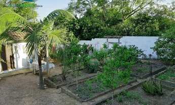 Imagem 5: Sítio de 5000m² com casa colonial em Águas Claras, Viamão