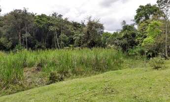 Imagem 4: Lindo terreno para sítio com água corrente de nascente, em ótima localização!