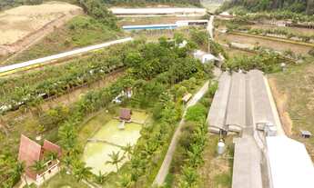 Imagem: Galpão/Depósito/Armazém para venda com