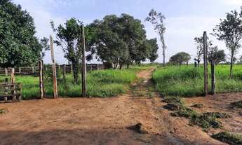 Imagem 3: FAZENDA PARA PECUÁRIA E LAVOURA