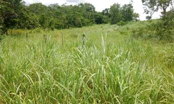 Imagem 5: 69 alqueires beira rio em Goias velho-Go