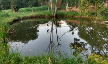 Imagem: Chácara para venda em Corumbá de Goiás