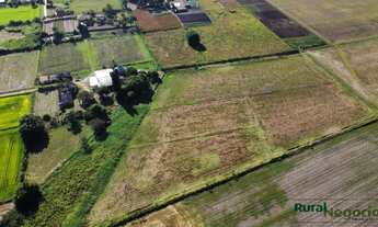 Imagem 4: Fazenda/Sítio/Chácara para venda possui 20000 metros quadrados