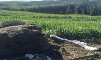 Imagem 3: Sítio 19 alqueires São Miguel Arcanjo