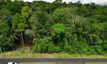 Imagem 7: Lote/Alphaville Manaus 4