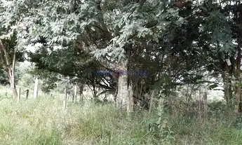 Imagem 7: Terreno - Jardim Monte Belo - Campinas