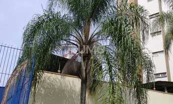 Imagem 4: Apartamento - Jardim Paraíso - Campinas