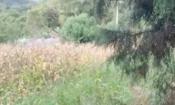 Imagem 4: Chacara meio da natureza