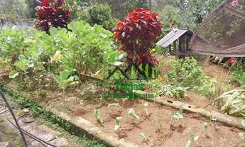 Imagem 5: Chácara com 3 dormitórios à venda, 1000 m² por R$ 440.000 - Palmeiras de Suzano - Suzano/S