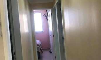 Imagem 3: Apartamento com 3 Dormitórios à Venda, 67 m² - Freguesia do Ó - São Paulo/SP