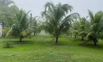 Imagem 6: Sítio com lagoa em Caratinga