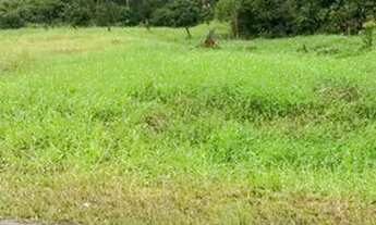 Imagem 3: Terreno em são Francisco do sul