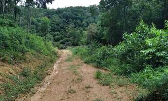 Imagem 6: Terreno perfeito para sua chácara em Mairique no bairro das moreiras