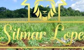 Imagem 2: Fazenda de 86 alqueires por apenas 150mil o alqueire. Ótimo prazo para pagamento!!!