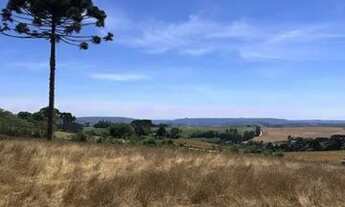 Imagem 6: Chácara à venda por R$ 4000000.00, 290000.00 m2 - CAMPO DOS LOPES - PIRAI DO SUL/PR