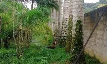 Imagem 3: Chacara em Peruíbe