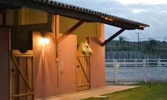 Imagem 3: Haras Residence 71827