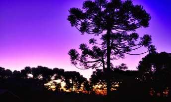 Imagem 6: Casa de campo em Painel SC