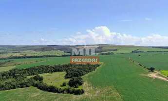 Imagem 4: Fazenda de 41 alqueires (200 hectares) em Abadiânia-GO