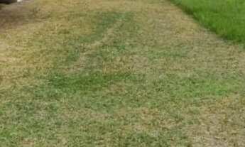 Imagem 2: Oportunidade !!! Terreno em condomínio !!!