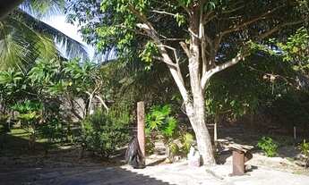 Imagem 6: Chácara à venda, 14300 m² por R$ 650.000,00 - Vila São José - São José de Ribamar/MA