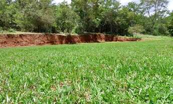 Imagem: Vendo Sítio em São Gonçalo do Rio Preto
