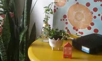 Imagem 4: Vaga de quarto para meninas no Córrego Grande