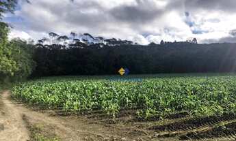 Imagem 6: Terreno à venda por R$ 2.390.000,00 - Centro - Bocaiúva do Sul/PR