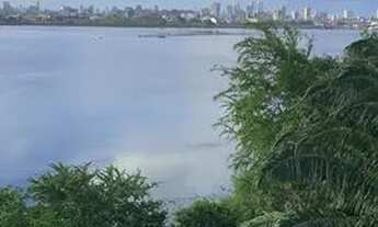 Imagem 5: Apartamento para venda tem 268 metros quadrados com 4 quartos em Pina - Recife - PE