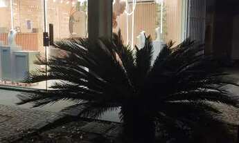 Imagem 7: VENDO LOJA DE SEMI JÓIAS E ACESSÓRIOS