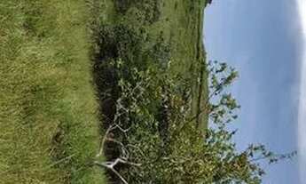 Imagem 2: Lote/Terreno para venda possui 600 metros quadrados em Recanto das Águas - Igaratá - SP