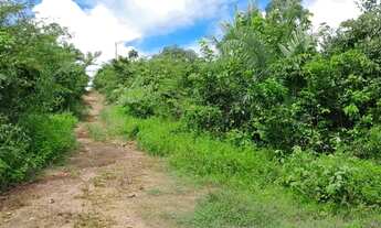 Imagem 3: Vendo 2 lotes ligados, medindo 10x30m cada, região Usina Santana