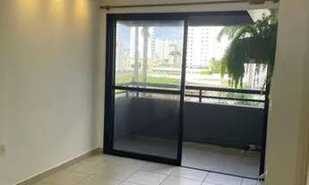 Imagem 3: Verano capim macio