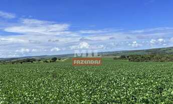 Imagem 6: Fazenda de 41 alqueires (200 hectares) em Abadiânia-GO