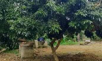 Imagem 2: Vendo Terreno 384m²