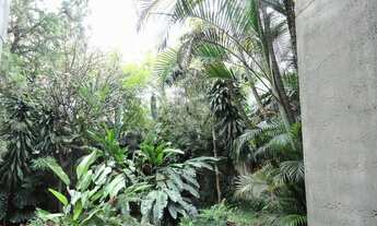 Imagem 5: São Paulo - Casa Padrão - VILA NOVA CONCEIÇÃO