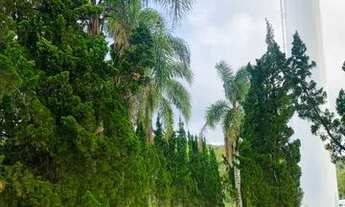 Imagem 4: Vendo meu terreno 100% plano