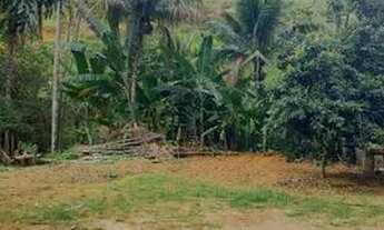 Imagem 7: Vendo Terreno 384m²