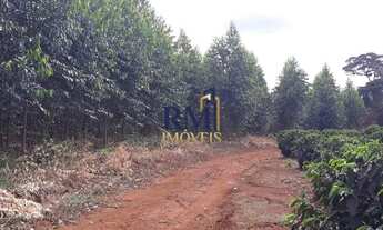 Imagem 5: Fazenda à venda, Zona Rural - Capelinha/MG