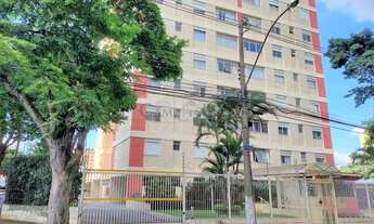 Imagem: Apartamento - Bonfim - Campinas