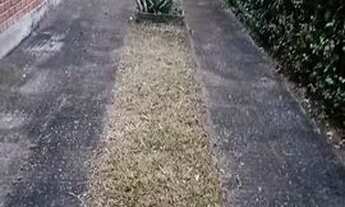 Imagem 7: Casa de condomínio para aluguel e venda tem 360 metros quadrados com 4 quartos