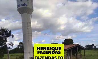 Imagem 2: Fazenda grande dupla aptidão região de Rio Sono Tocantins