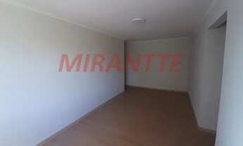 Imagem 3: Apartamento de 52m² com 2 quartos em Jardim Peri