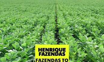 Imagem 2: Arrendamento no Tocantins extra