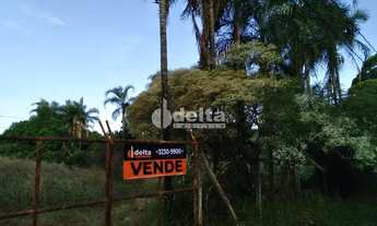 Imagem 4: Chácara à venda, 1 quarto, 1 vaga, Chácara Panorama - Uberlândia/MG