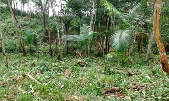 Imagem 5: Terreno Benevides 50× por 100×